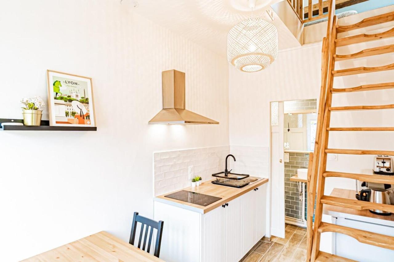 Duplex Poizat - Joli Appartement - Villeurbanne Zewnętrze zdjęcie